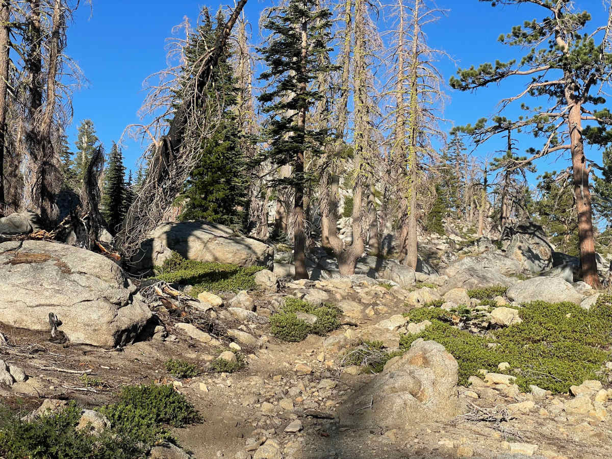 Buck Pasture Trail (East) photo 2