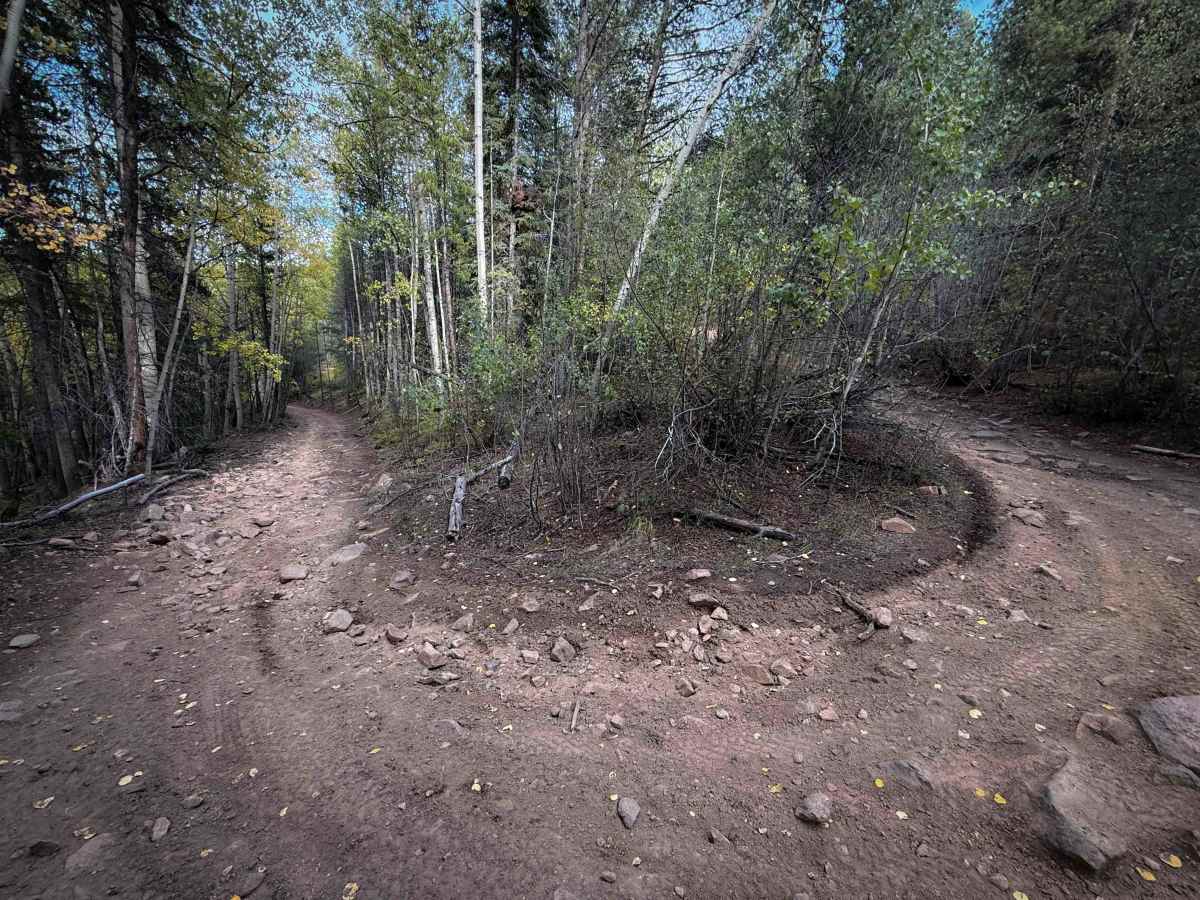 Wuanita Pass Trail - FS 640  photo 5