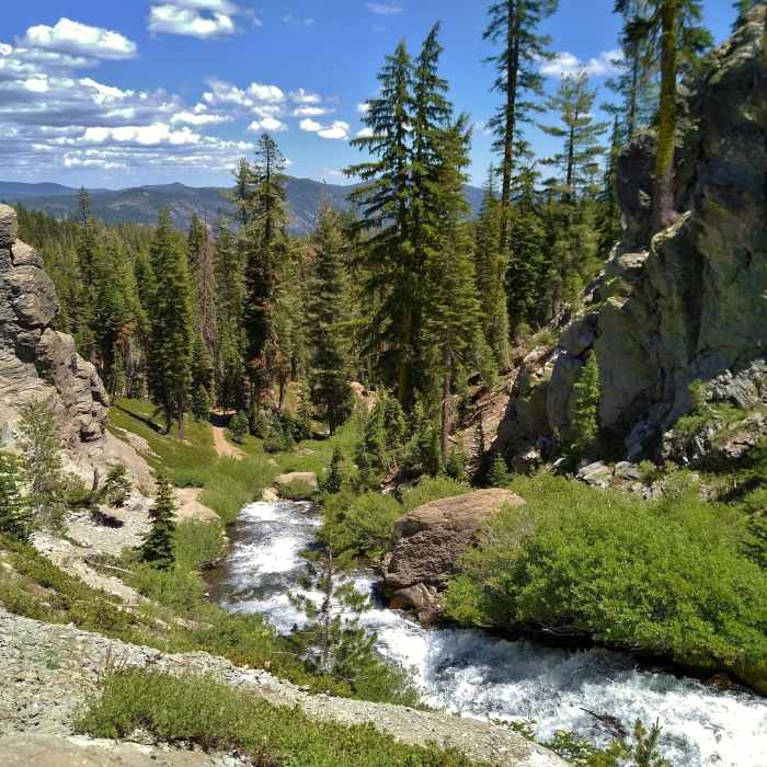 Near Kings Creek Trail