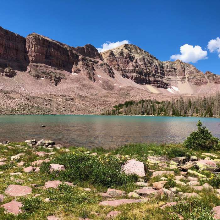 Near Uinta Highline Trail