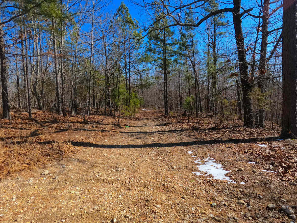 Buzzard Ridge Spur A - FS 2677A trail photo