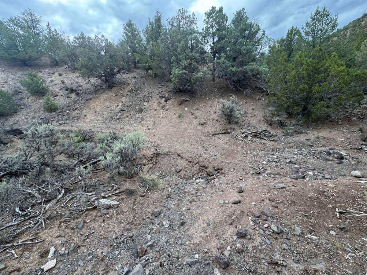 BLM 2722 photo 6
