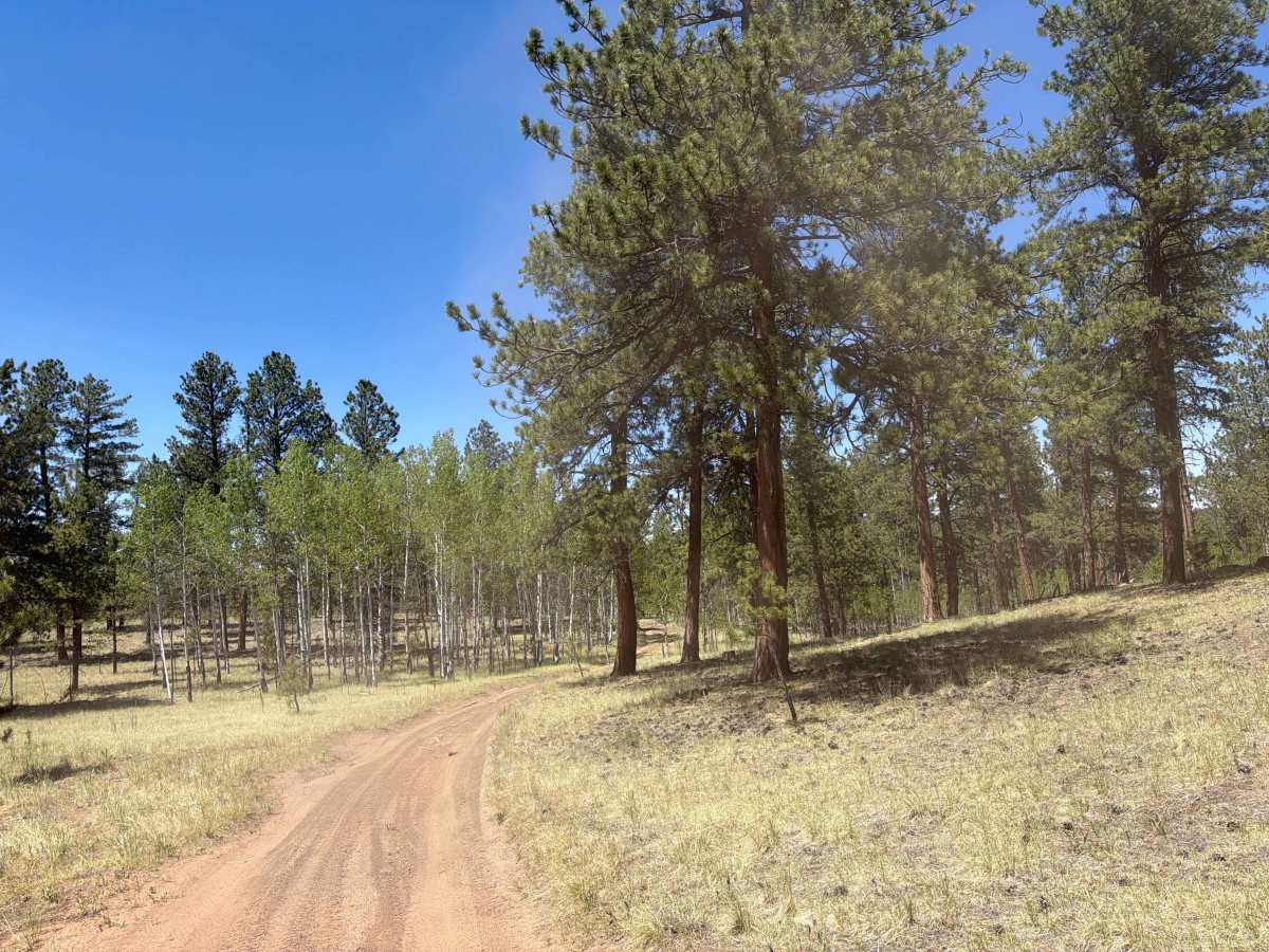Jackpot Road - FSR 243 1C photo 4