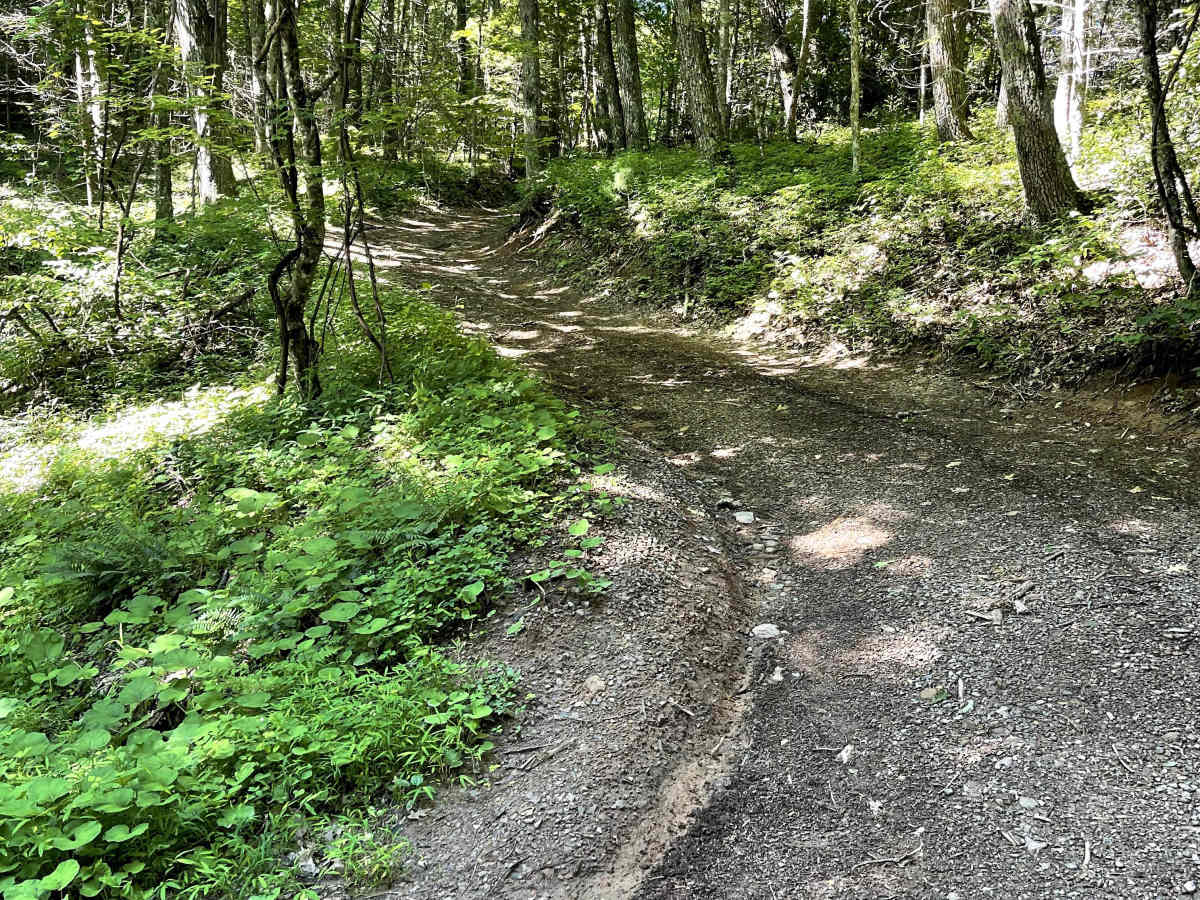 Blue Springs Road photo 5