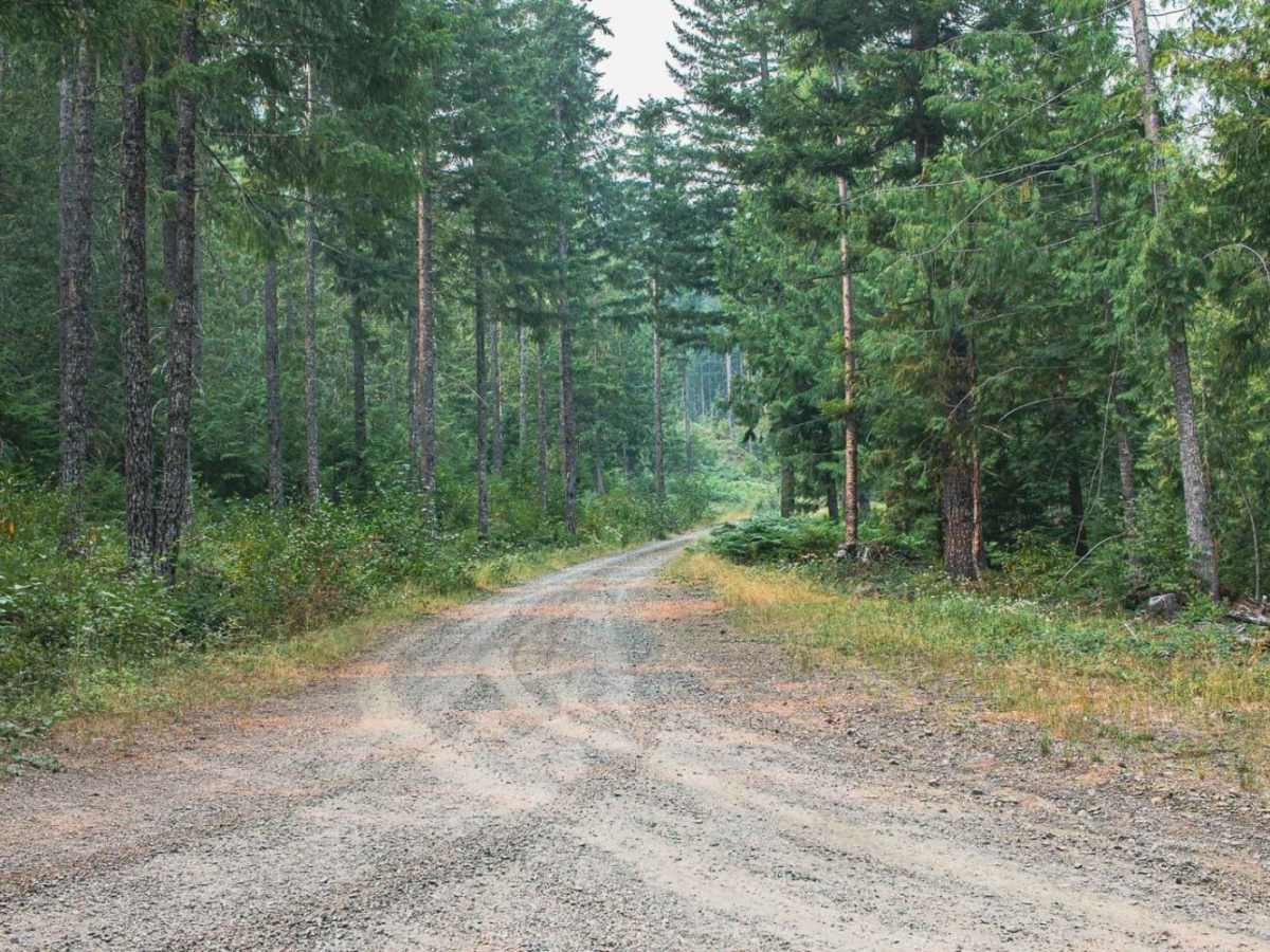 Gordon Lakes photo 2