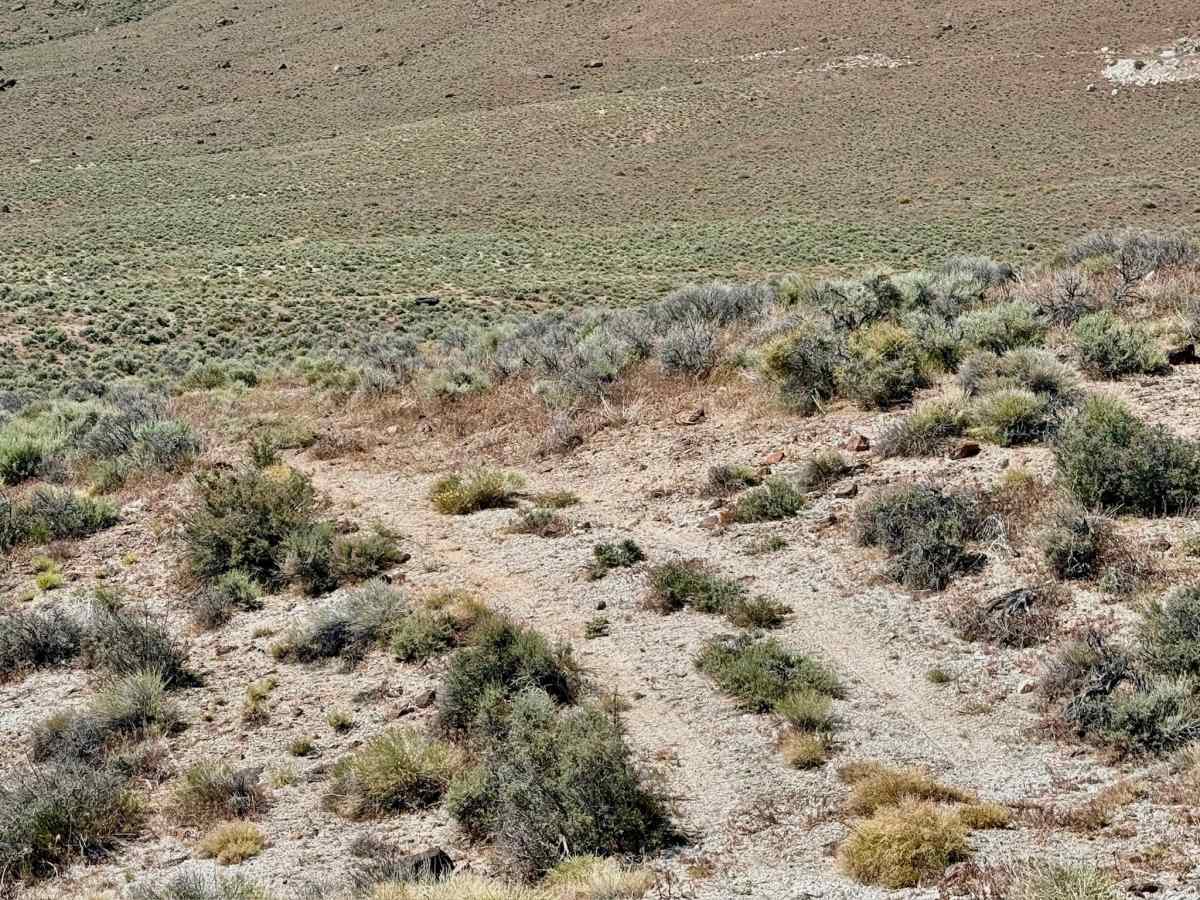 Upper Mud Springs North End - FS 44057 photo 6