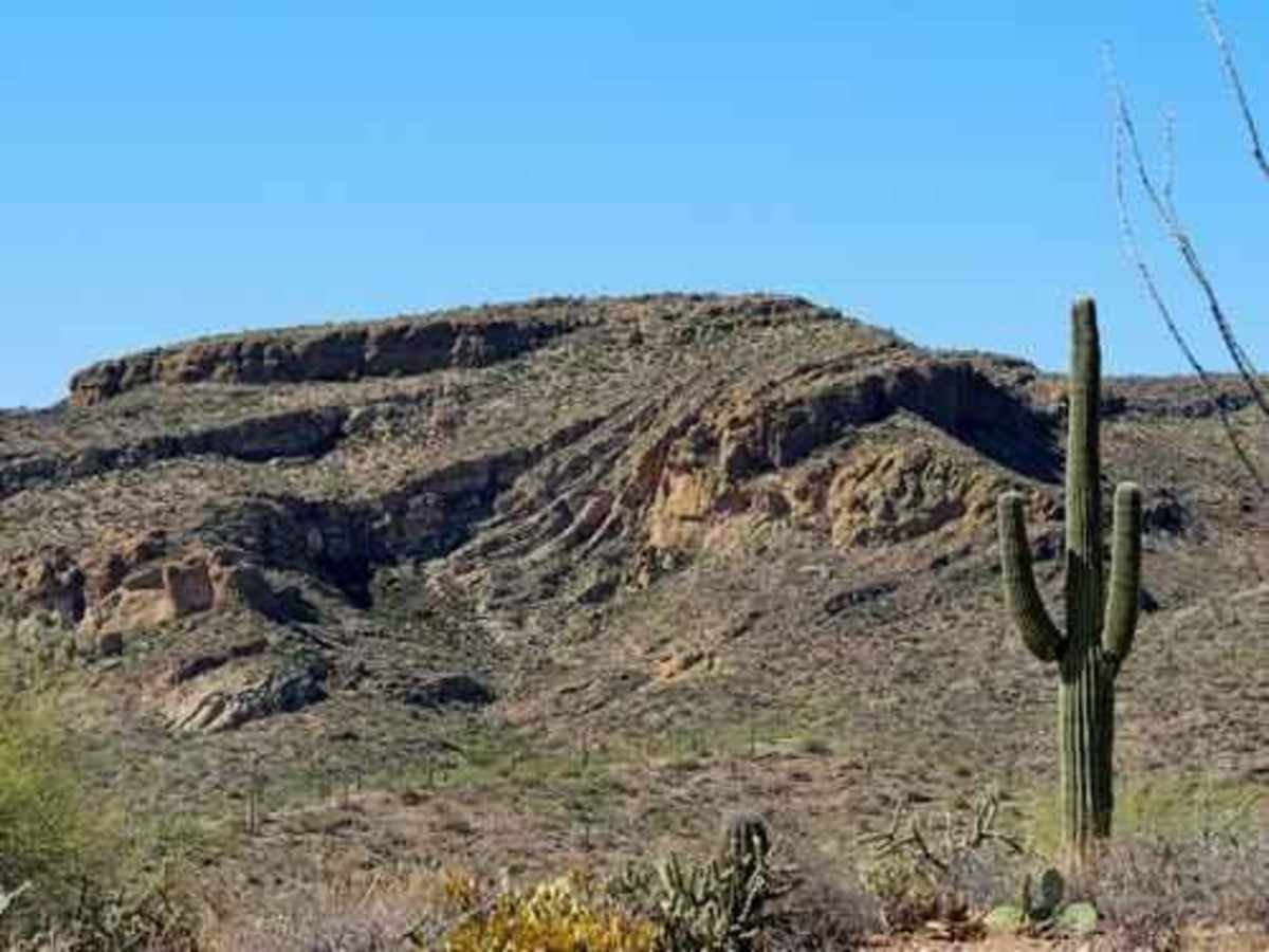 Hoss trail photo