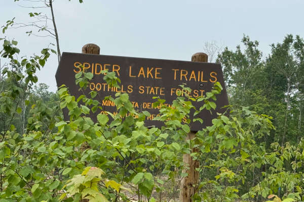 Spider Lake Trails