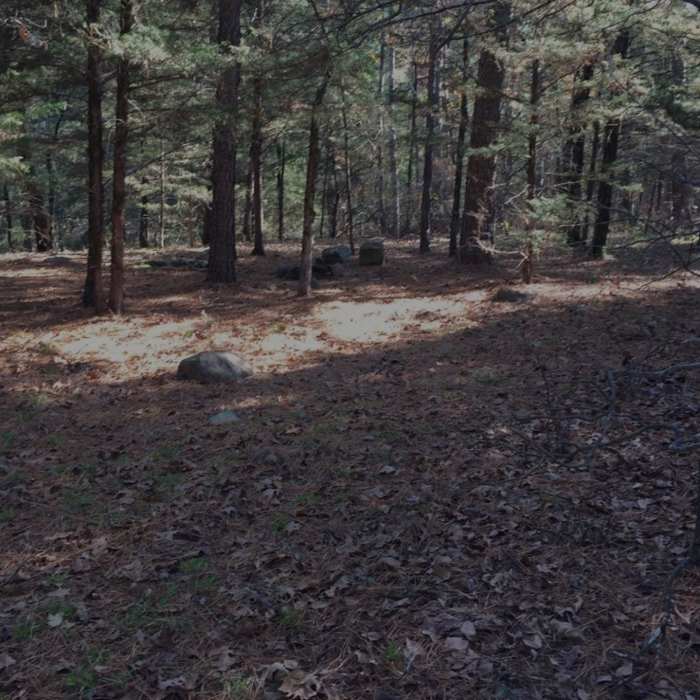 Near Holson Valley Trail