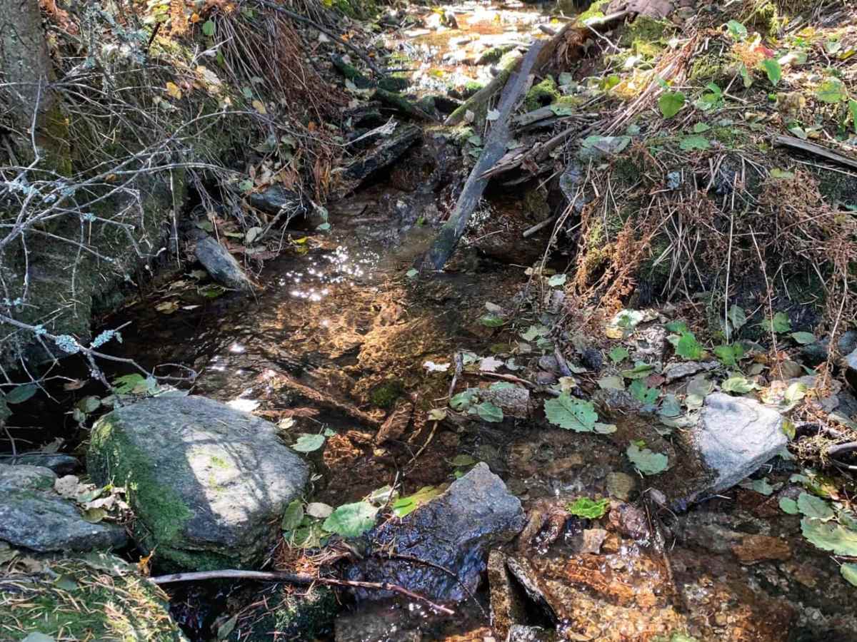 Lost Horse Ridgeline Lower photo 4