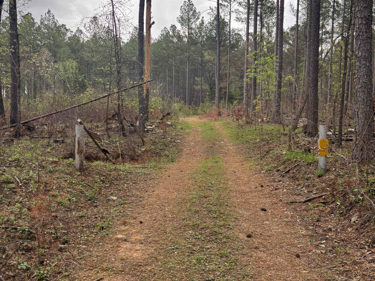 Tackett Mount Summit Trail trail photo