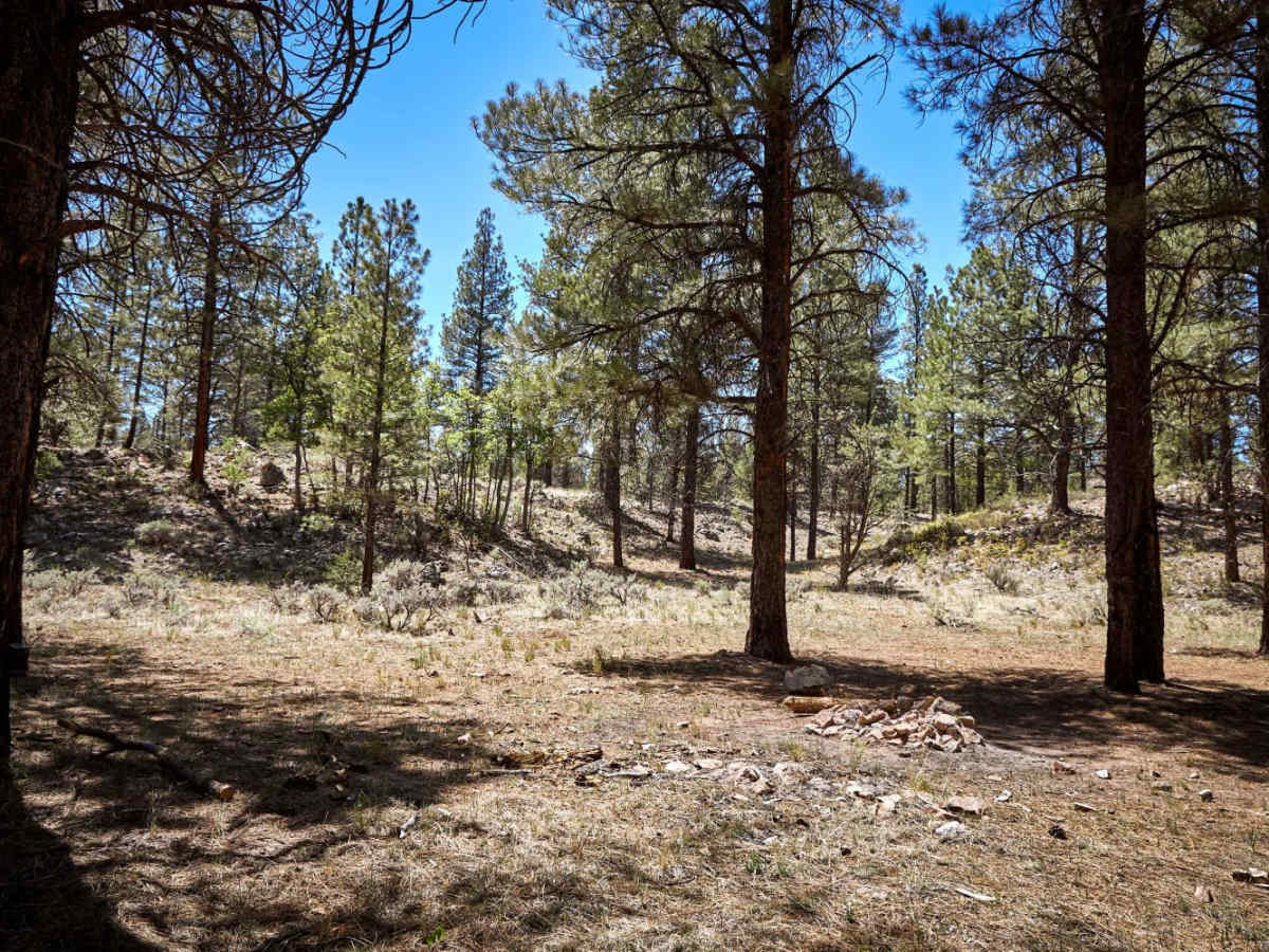 Old 2604 Road photo 6