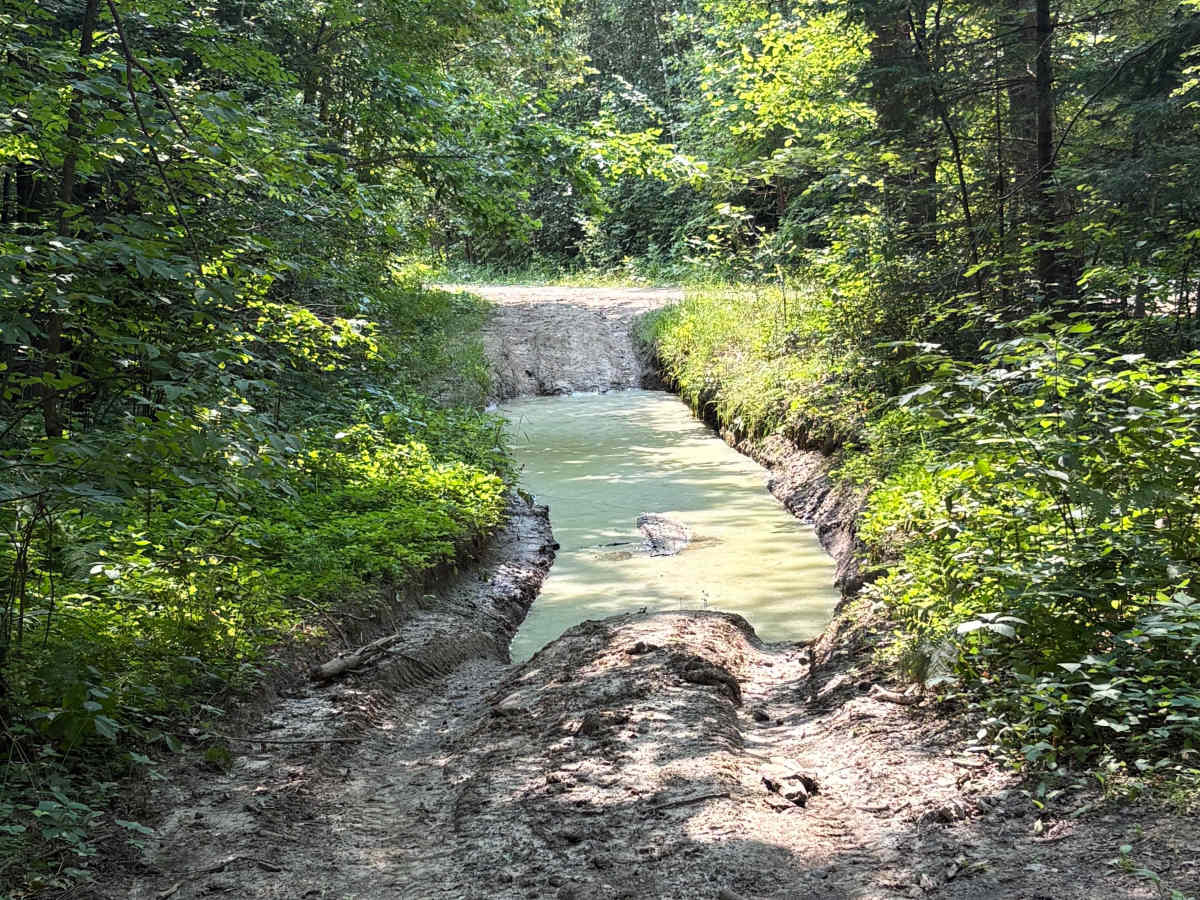 Forest Road 0402 photo 5
