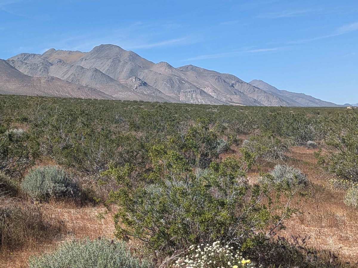 Leliter Road - BLM SE137 photo 3
