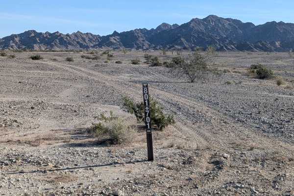 BLM 801