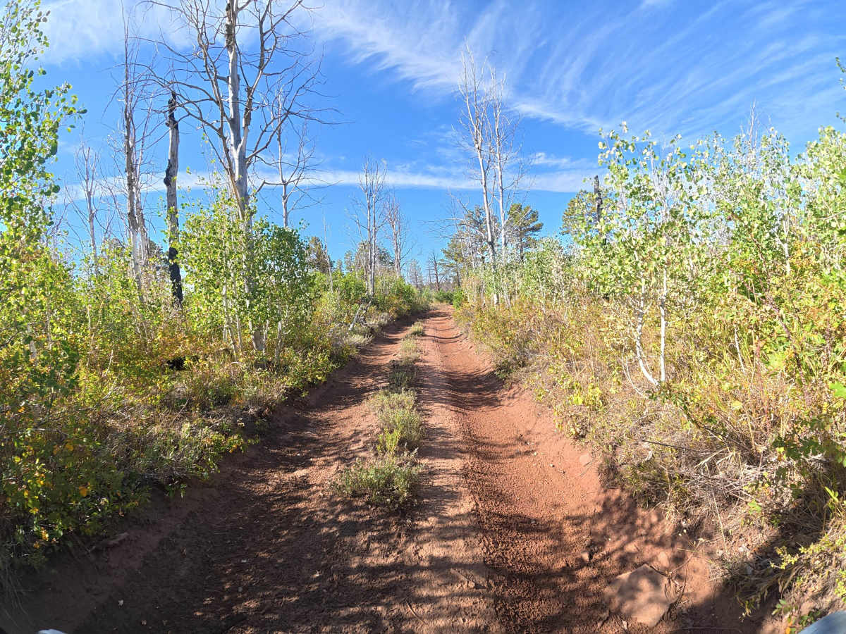 West Mesa Creek Road photo 4
