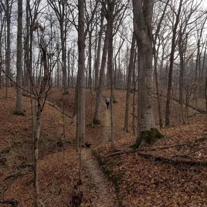 Walking the lonely forest path leads to quiet reflection. Near Trail B