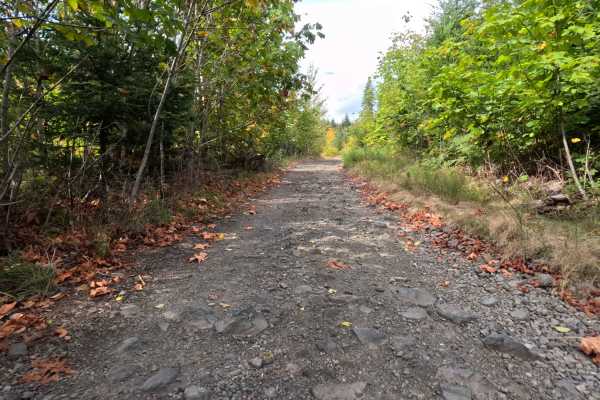 Carson Creek Road