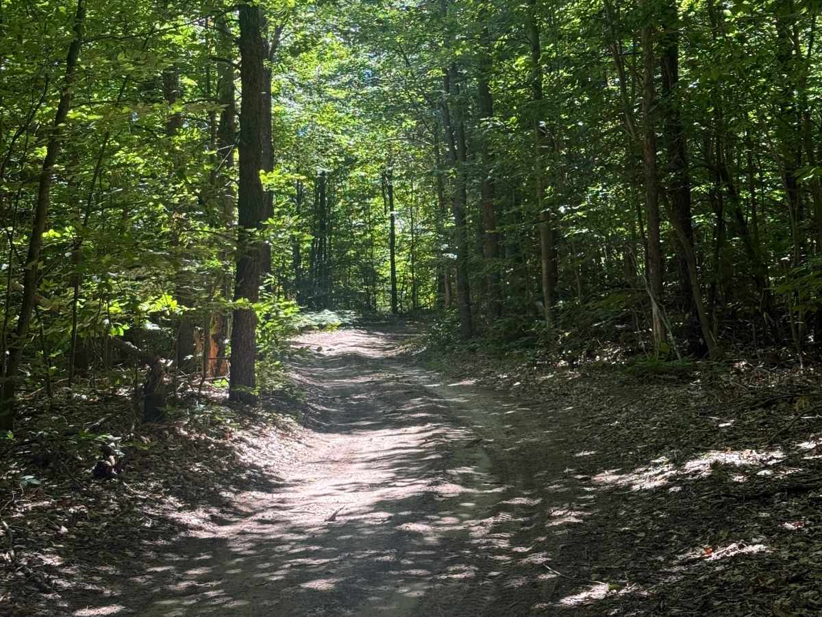 Big 4-Norconk-Swanson Connector Trail trail photo