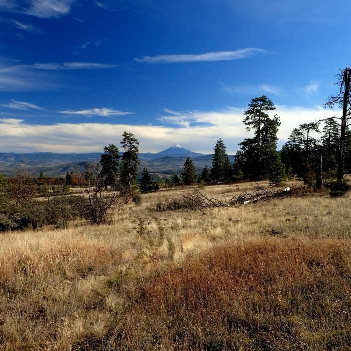 Near Equestrian Loop Trail