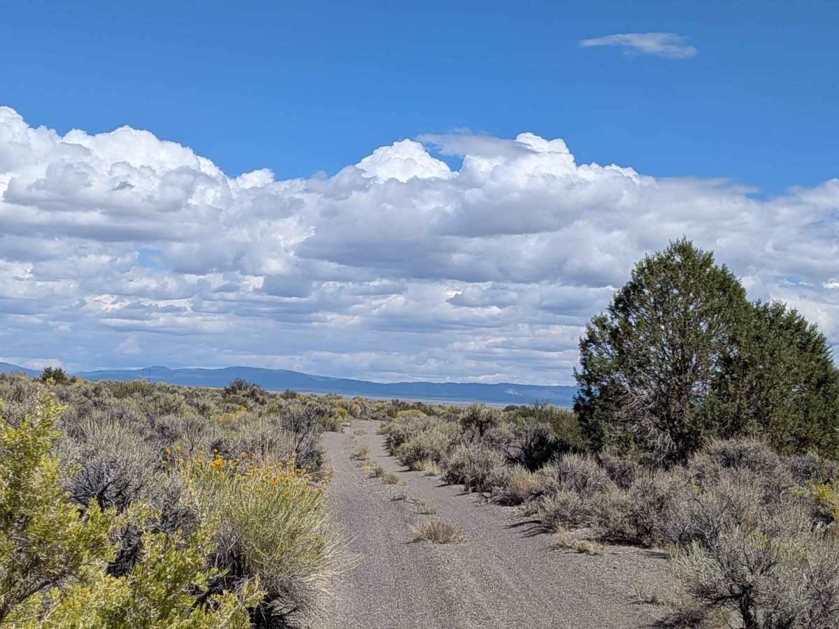 Wadford Springs Cutoff - FS 2N47 photo 3
