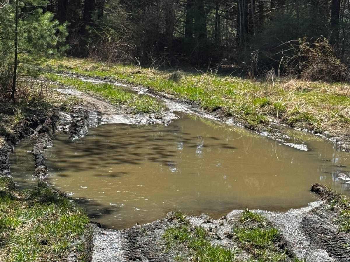 Logway Run Hill Climb Trail photo 5