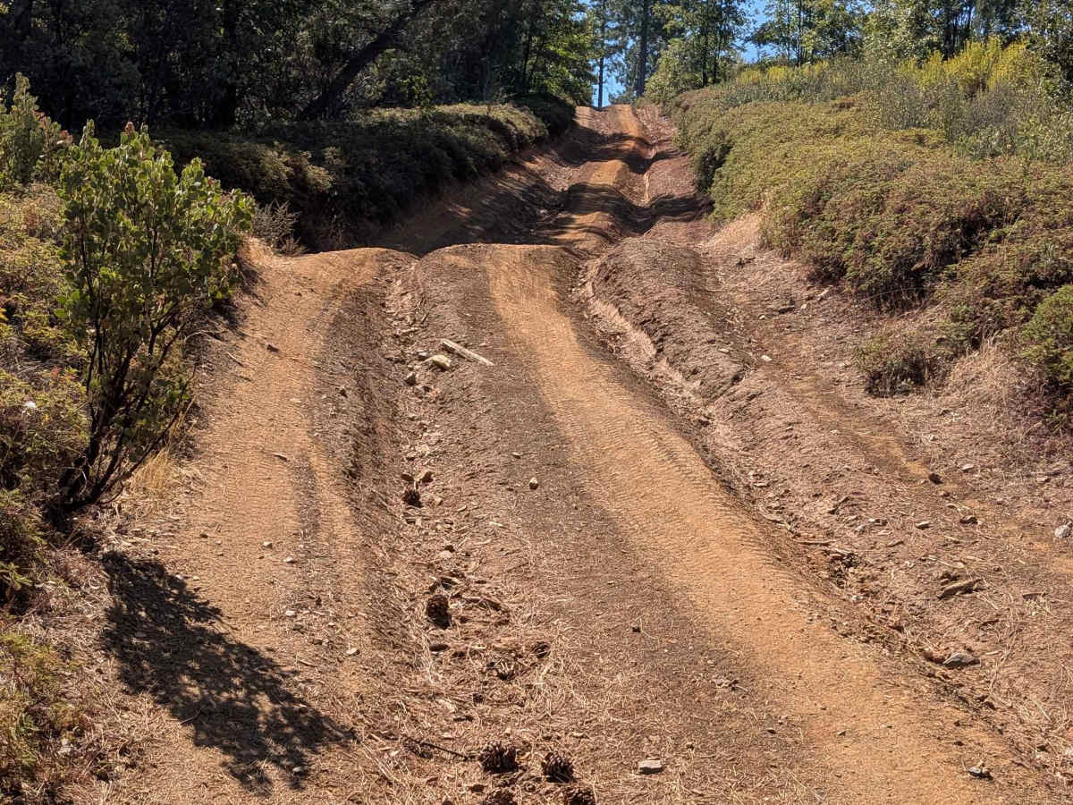 FS 2S66 trail photo