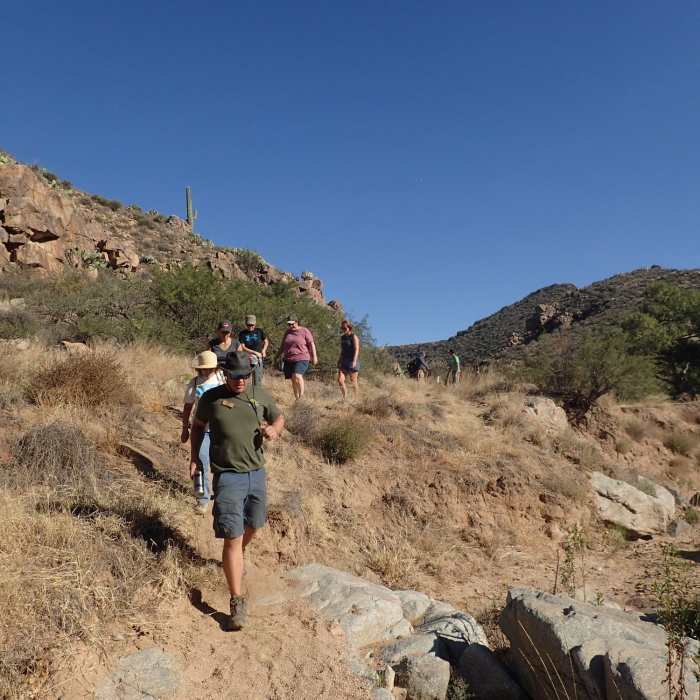 Near Badger Springs Wash Trail