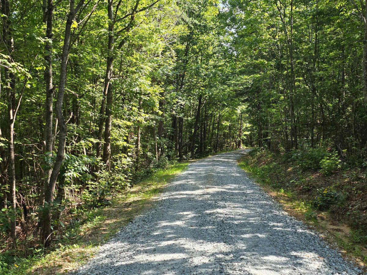 Piney Knob - FS 778 photo 6