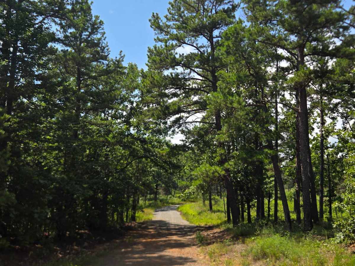 Line Ridge Road trail photo