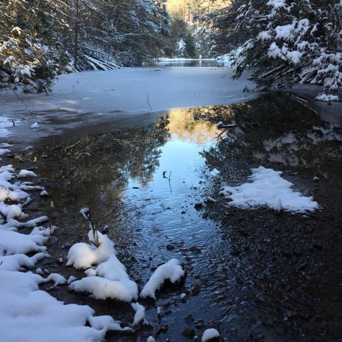 A small cove off of Steel Creek Park Lake makes for beautiful, ice-covered scenery along the Lake Ridge Trail. Near Steele Creek 8+ mile Moderate Loop