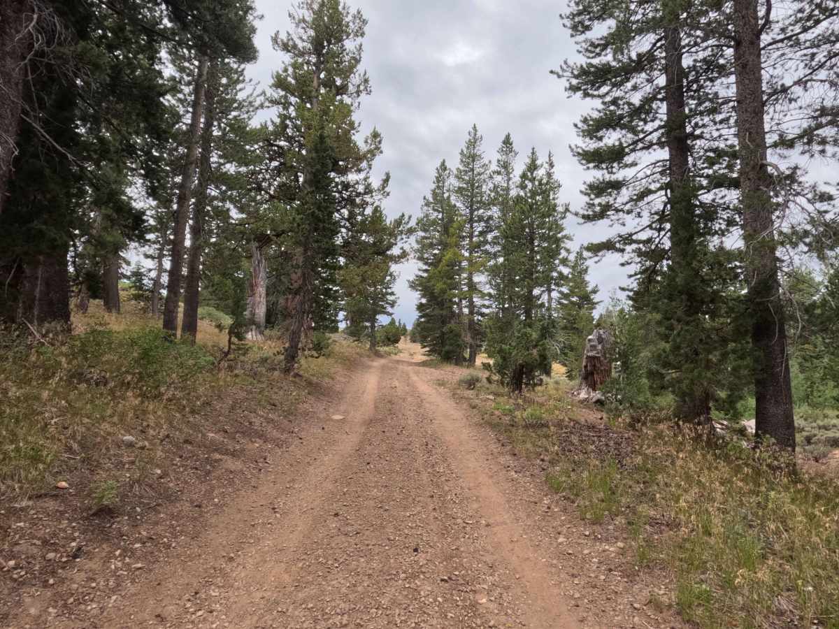 Lower Charity Road - FS 31206 photo 5