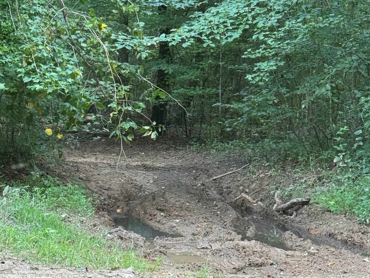 406 Mud trail photo