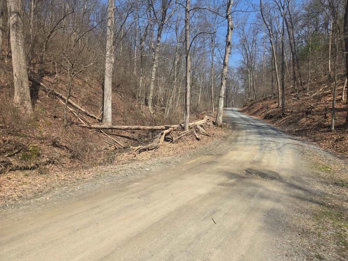 Spooner Road trail photo