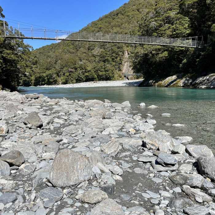 Near Blue Pools Forest Walk