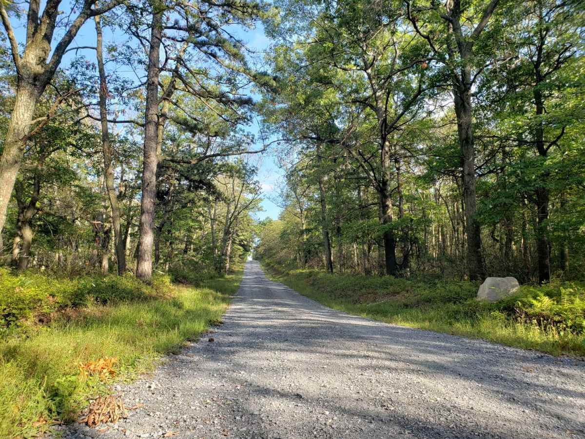 Birch Run photo 3
