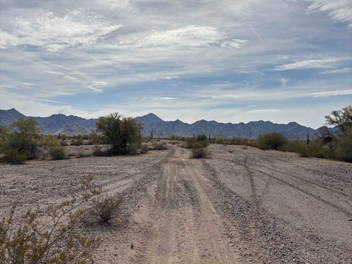 BLM 0141 photo 3