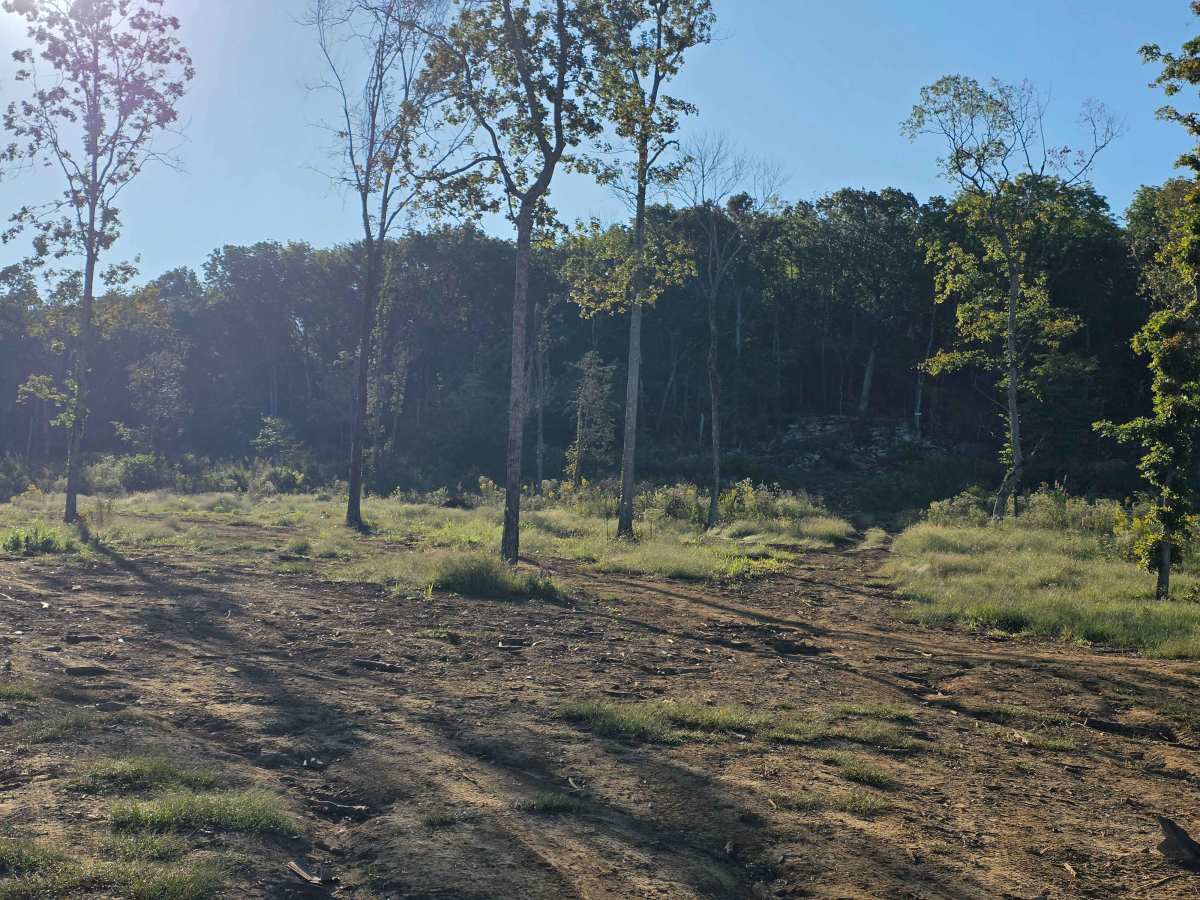 Can-am trail photo
