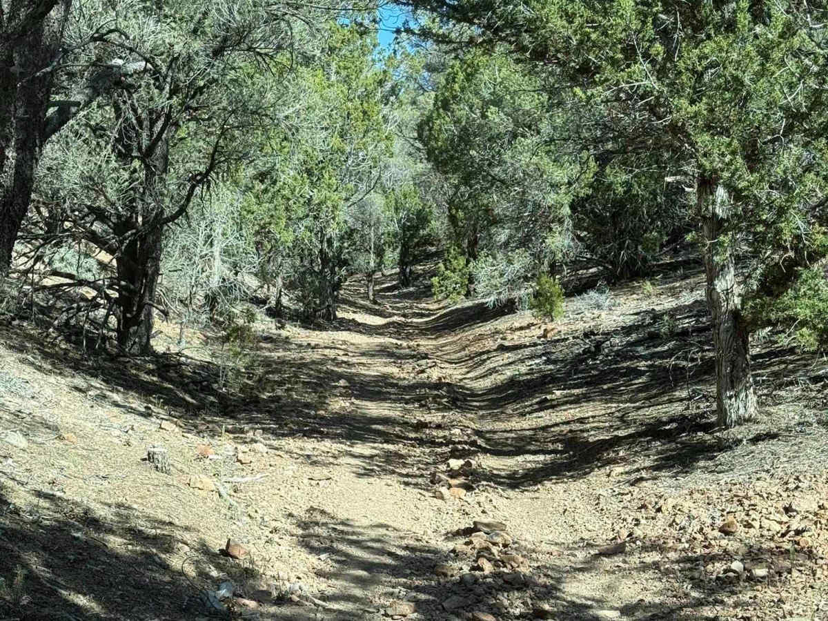 Color Country North Hills Segment Trail 9 photo 4