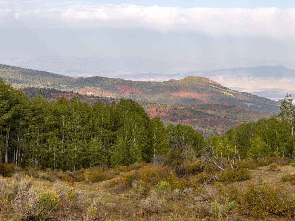 Water Hollow Trail photo 2