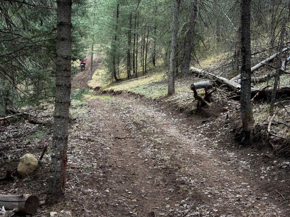 Hubbell Canyon- FS 9277 photo 3