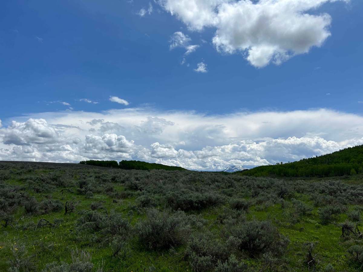 Gray's Lake Outlet photo 6