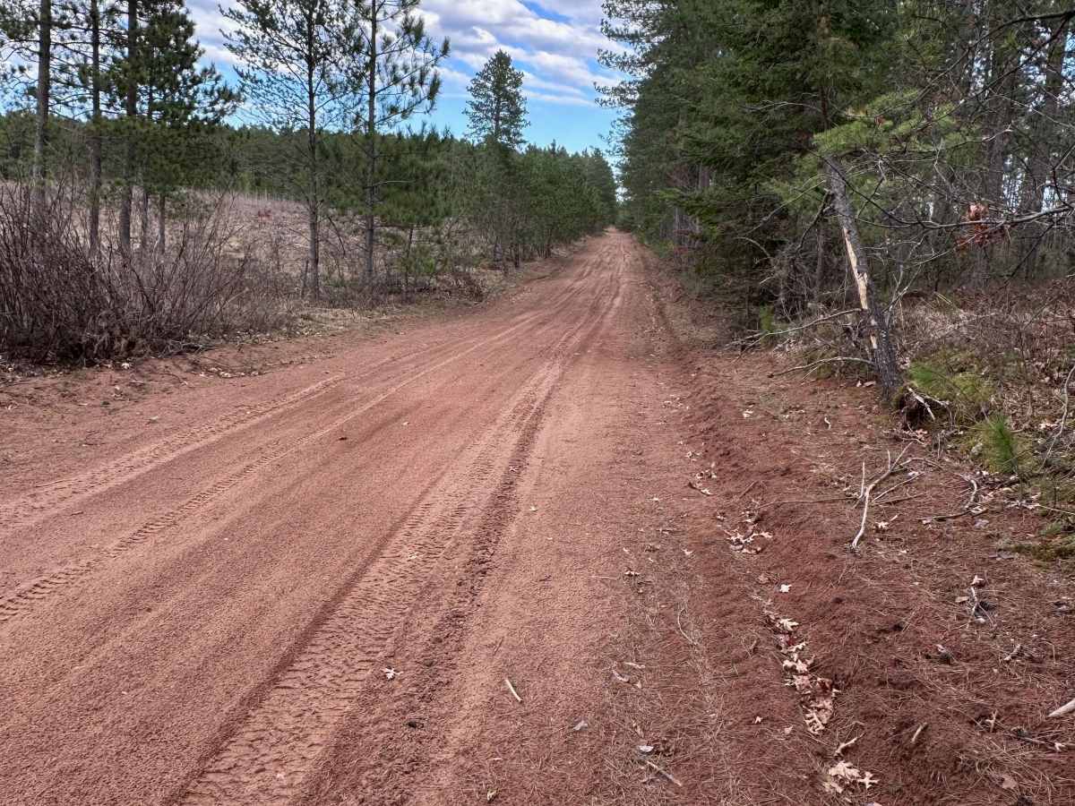 East West Forest Road photo 2