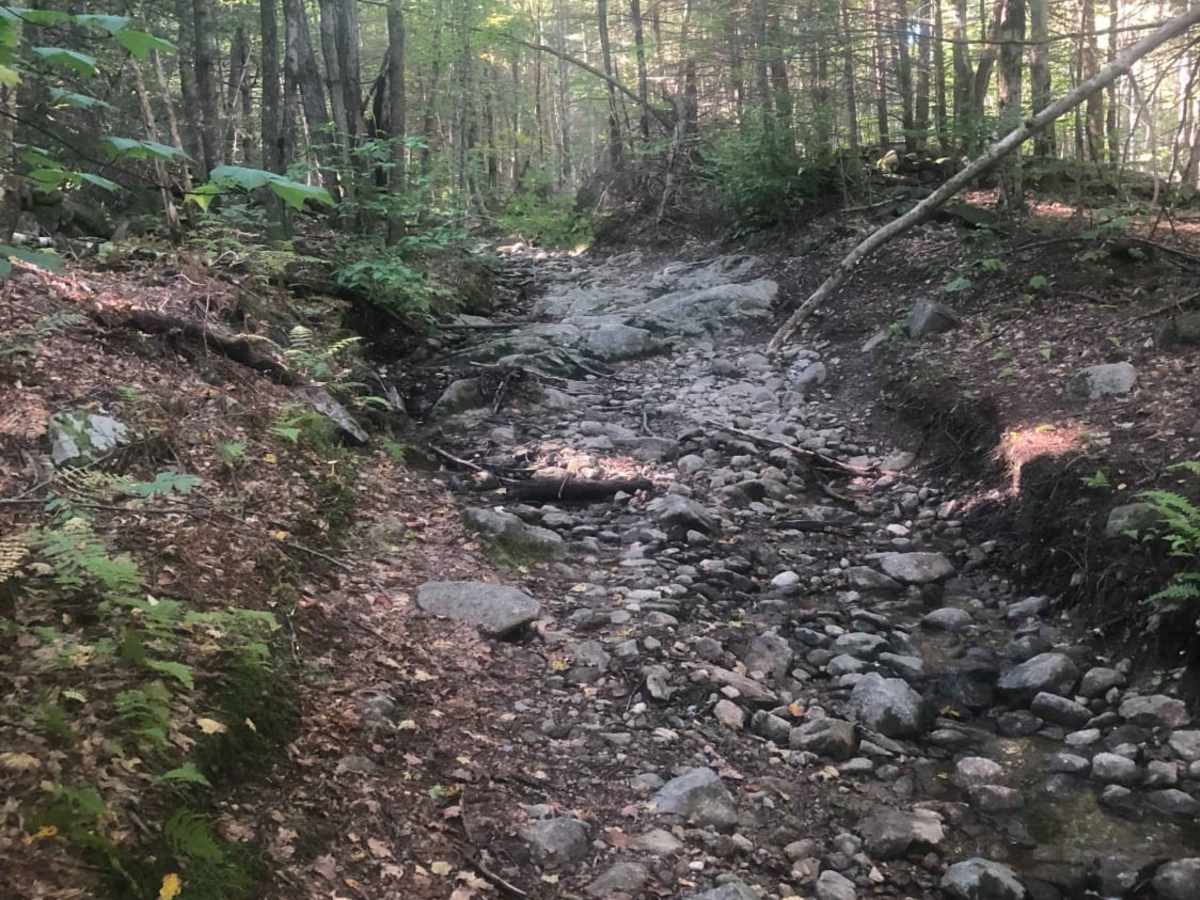 Cobble Hill Road Trail photo 2