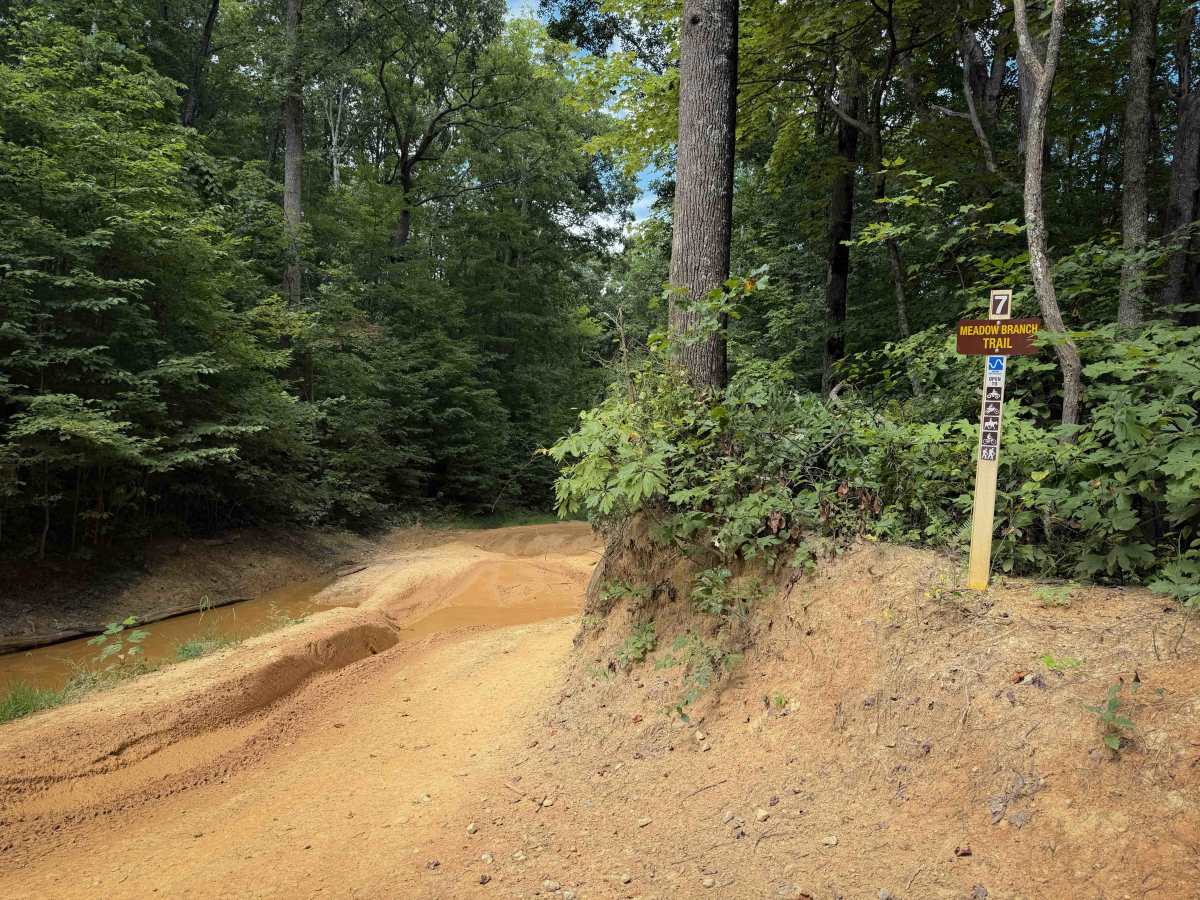 Meadow Branch Trail trail photo