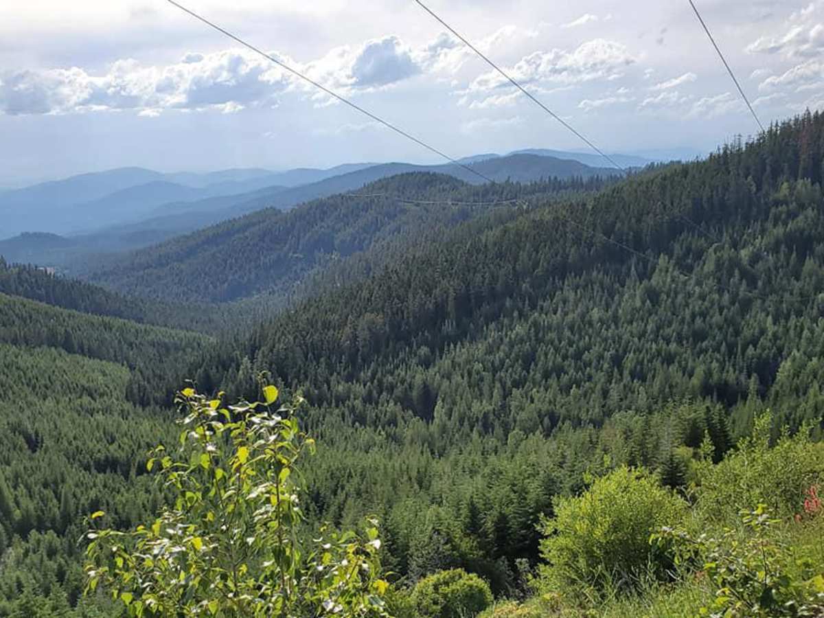 Chewelah Creek photo 3