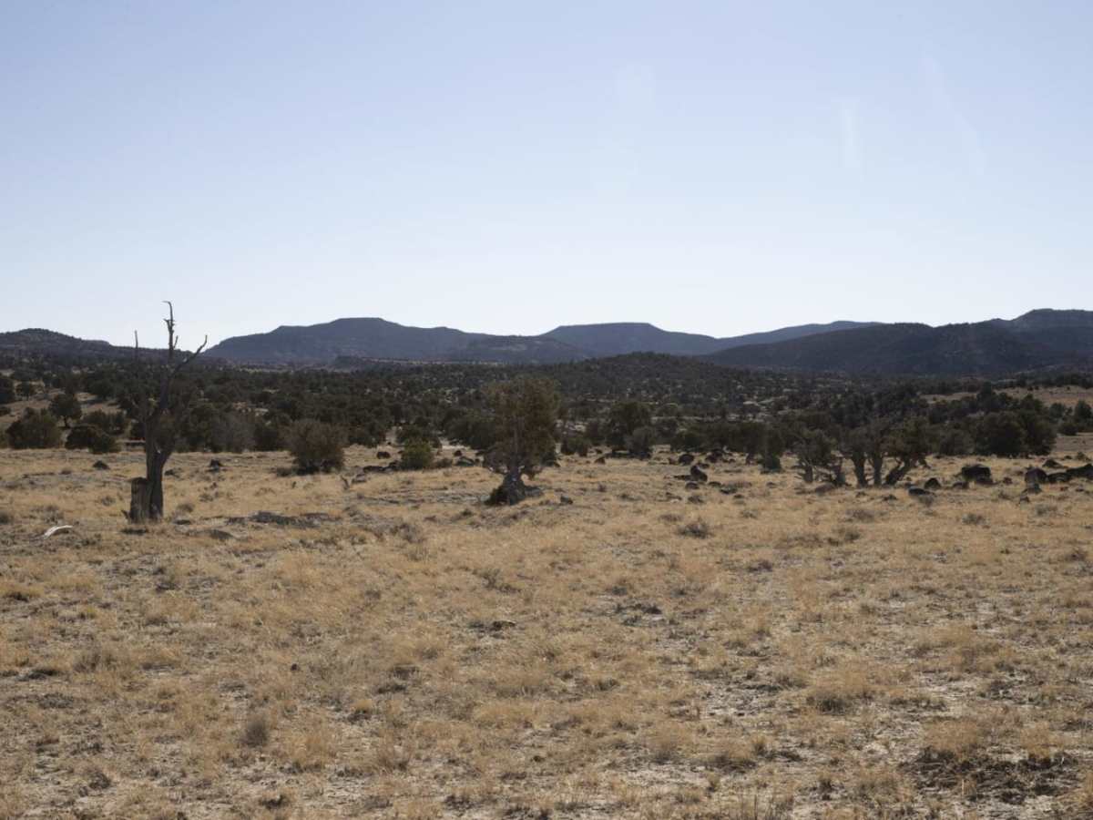 Jim's Farm Road photo 3