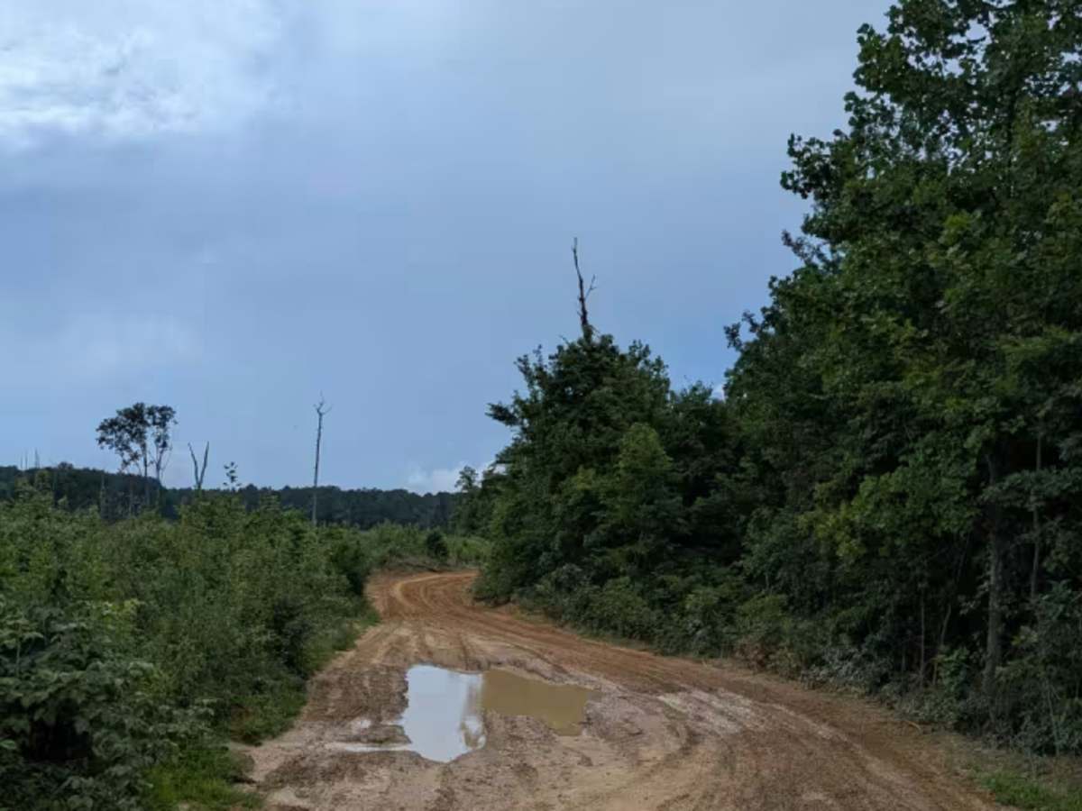 Richie Point Road photo 4