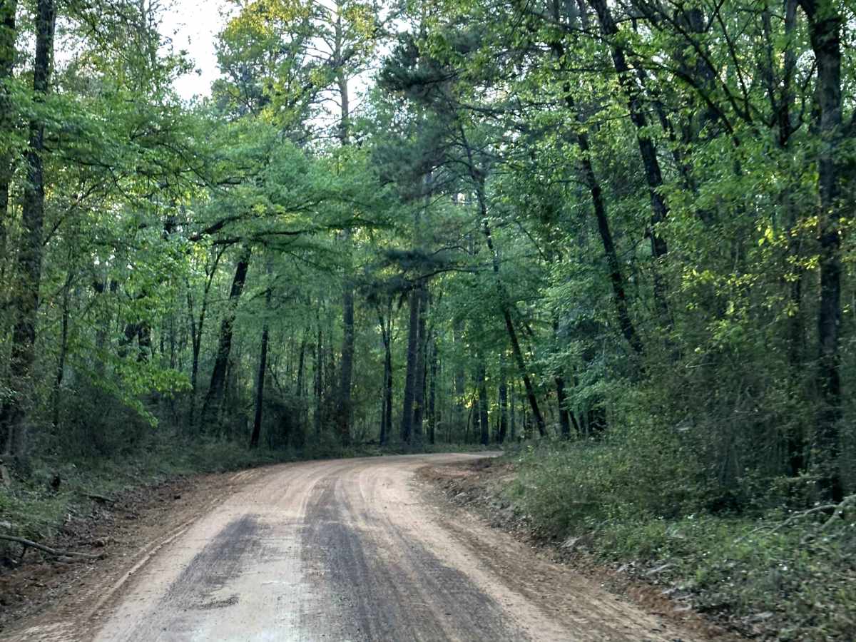 County Road 1125 photo 2