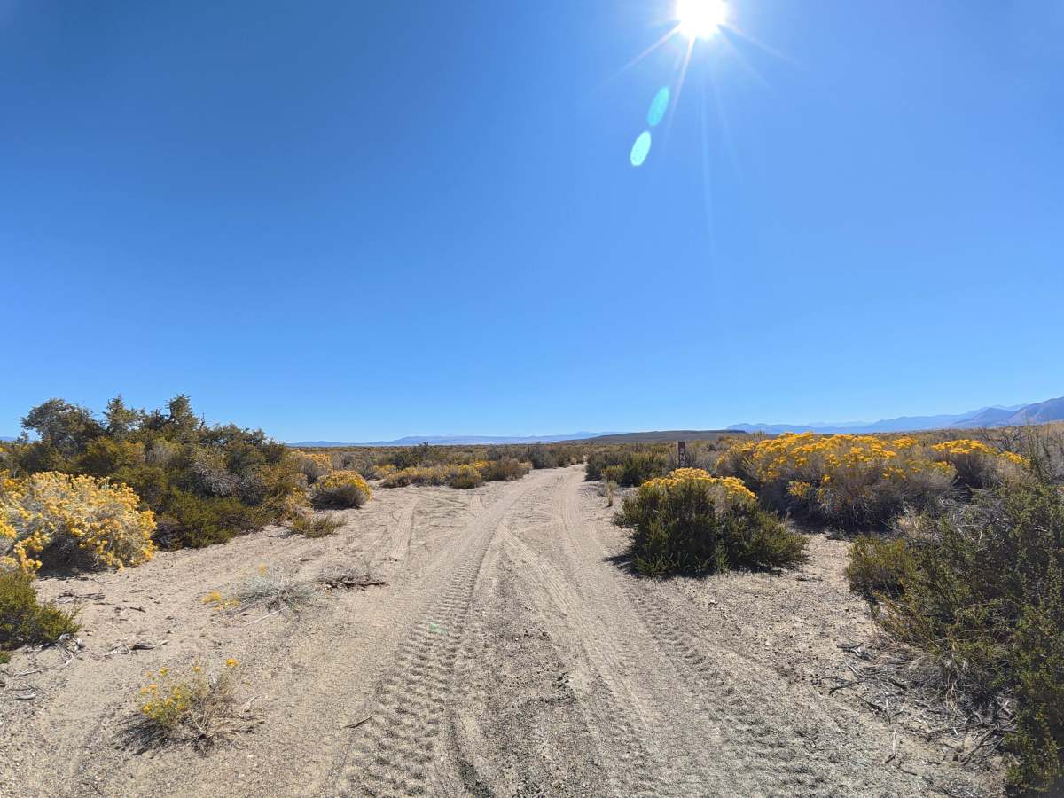 Dechambeau Pipeline trail photo